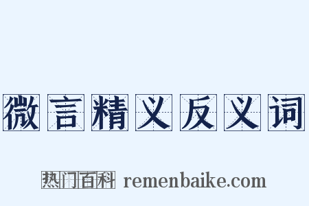 微言精义反义词是什么意思的图片
